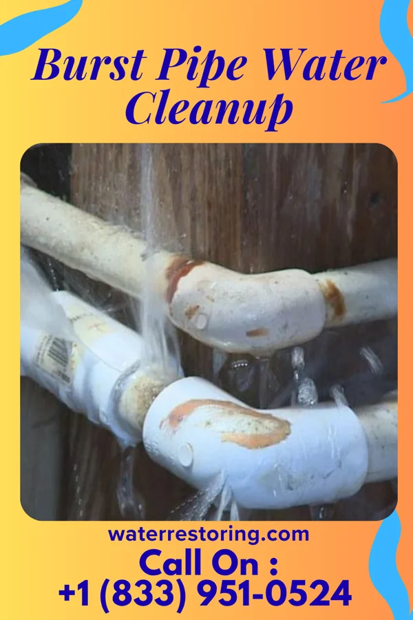 Burst Pipe Water Cleanup in Spencer, OH