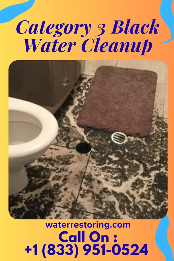 Category 3 Black Water Cleanup in Spencer, OH