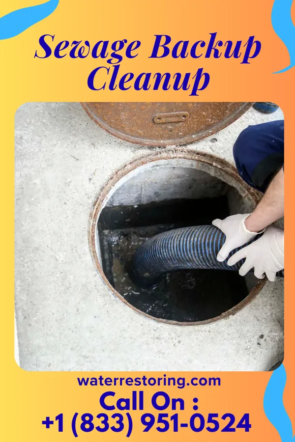 Sewage Backup Cleanup in Spencer, OH