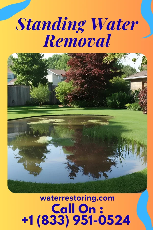 Standing Water Removal in Spencer, OH
